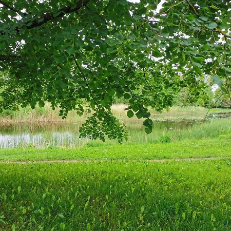 Upes Apartamentai Biržai Exteriör bild