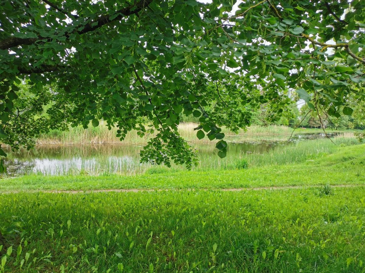 Upes Apartamentai Biržai Exteriör bild